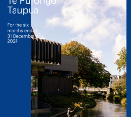 Interim Report front cover