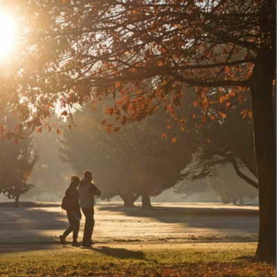 Hagley Park